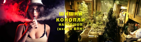 мдпв Зеленодольск