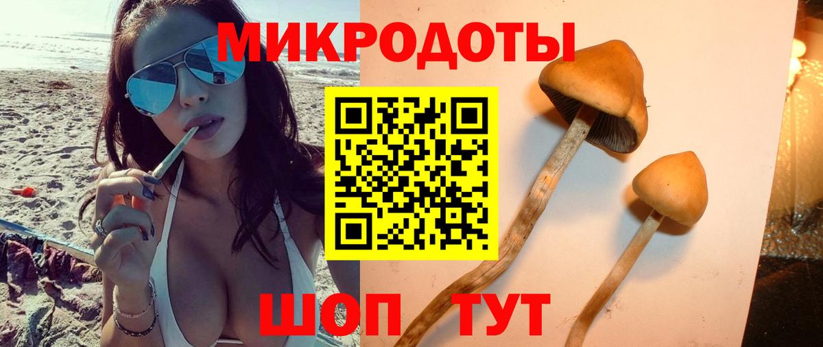 Галлюциногенные грибы Magic Shrooms Карталы