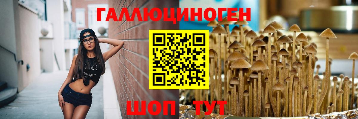 купить   Галлюциногенные грибы MAGIC MUSHROOMS  Вход с VPN  Карталы 